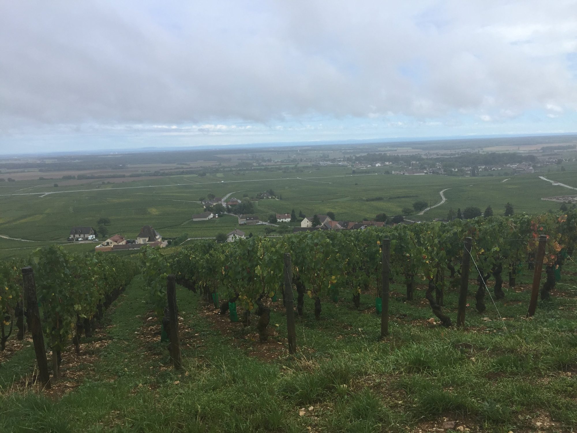 Blick über die Côte de Beaune