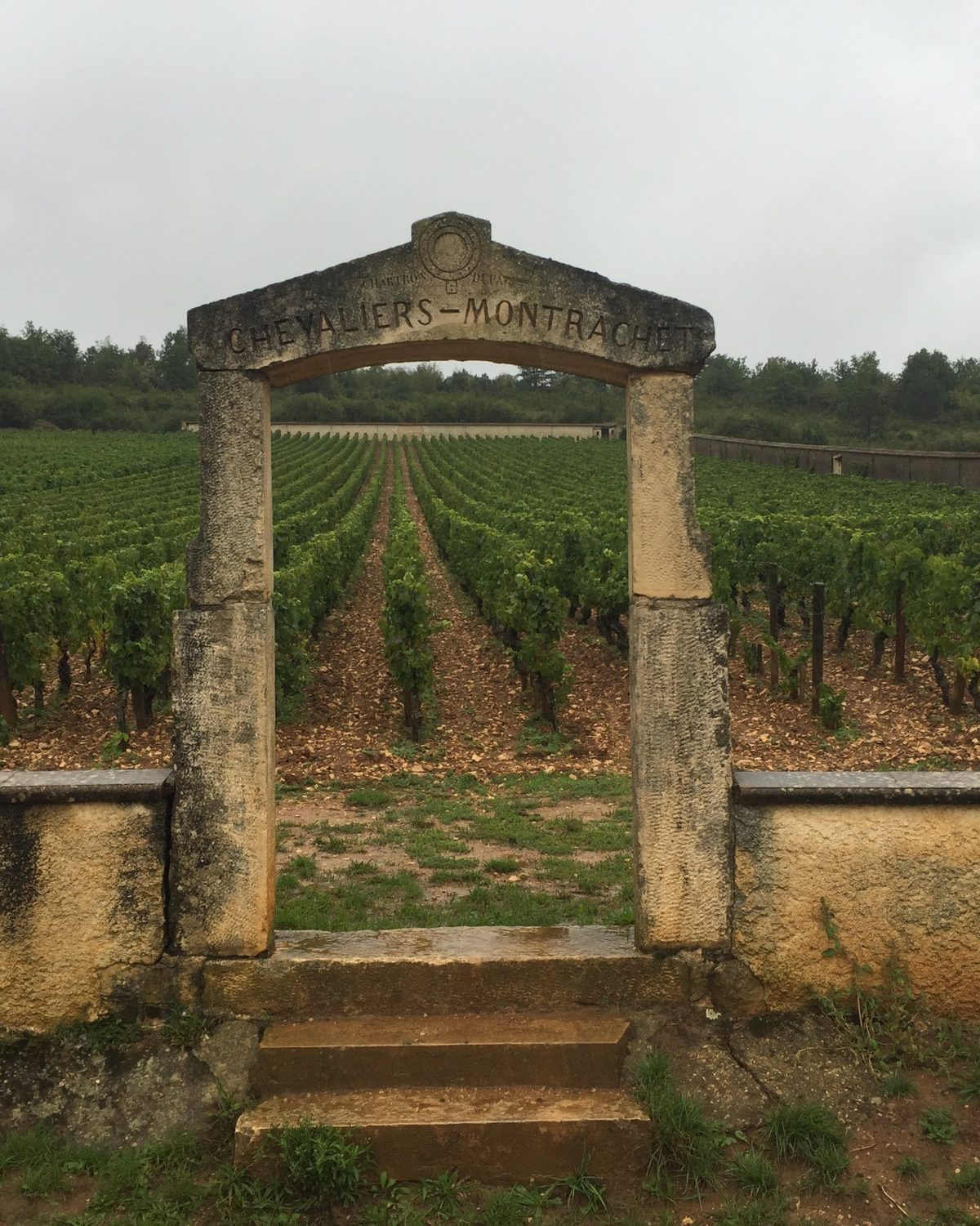 Steintor zur Grand-Cru-Lage Chevalier-Montrachet in Burgund