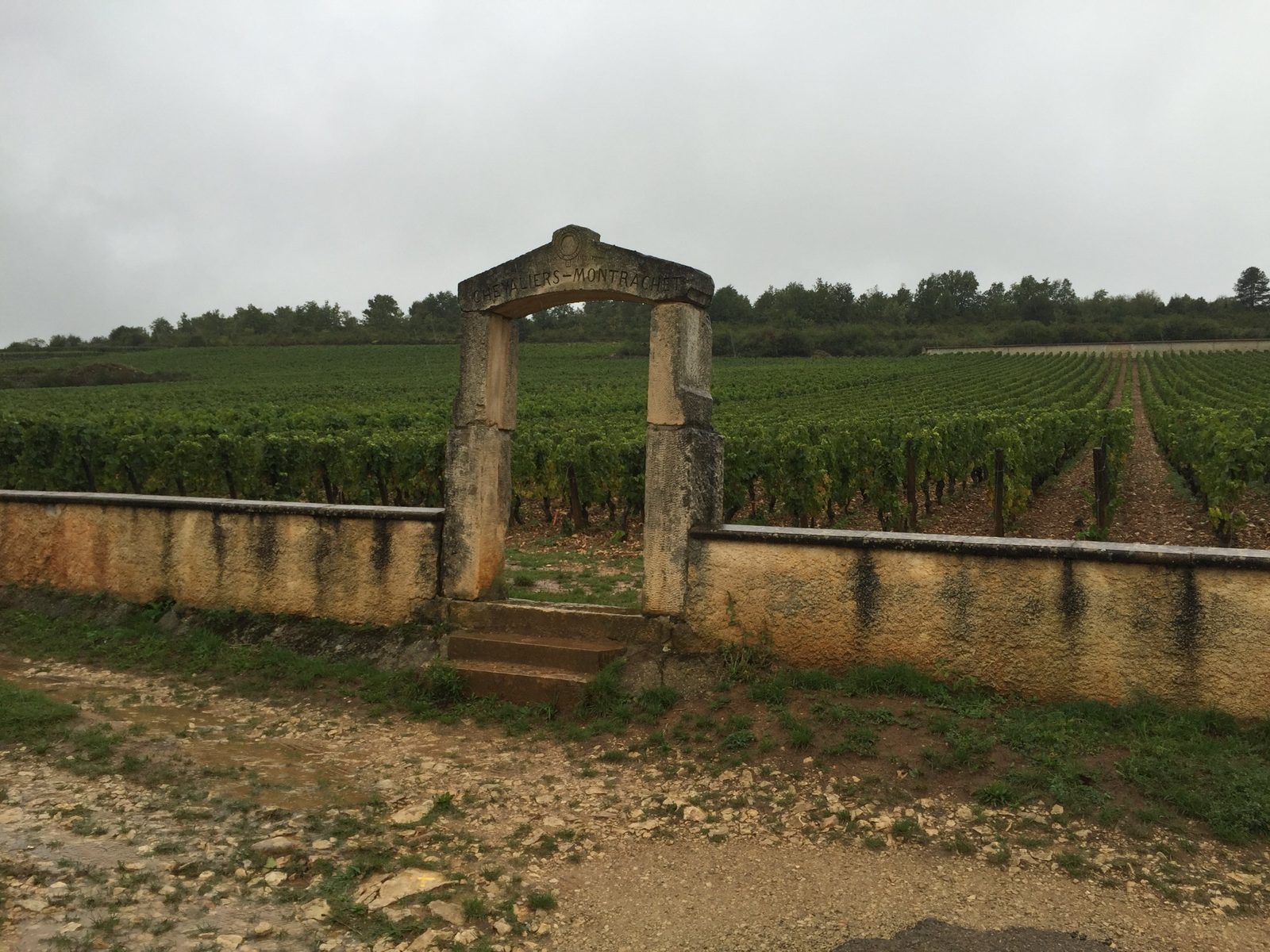 Chevalier-Montrachet, Puligny-Montrachet